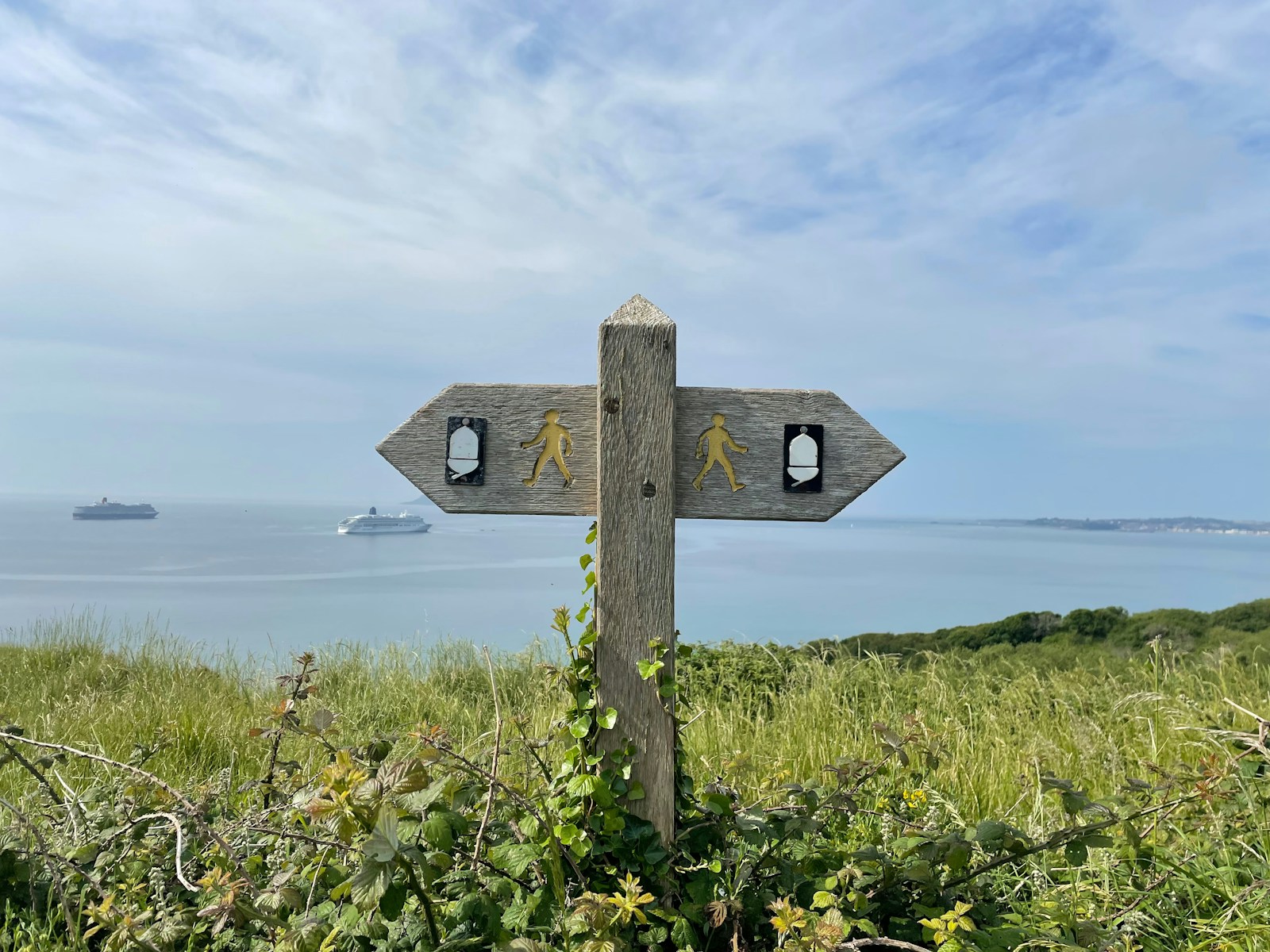 A brown wooden road sign on the grass with an ocean with two boats in the background. The cross road represents how students may feel after high school.